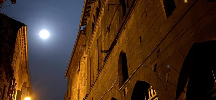 IMG_1696